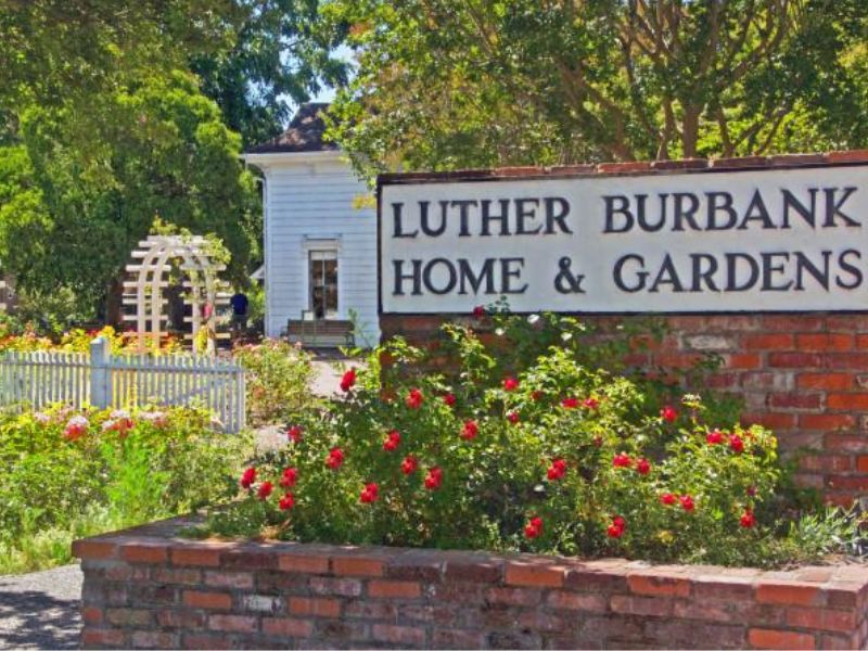 Luther Burbank Home & Gardens
