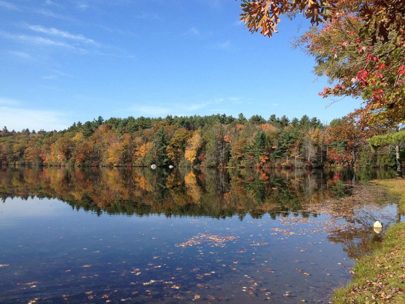Burr Pond State Park - Torrington