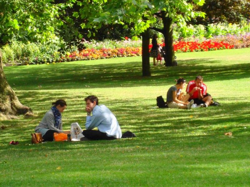 Arrange an official picnic at Greenway Meadows Park