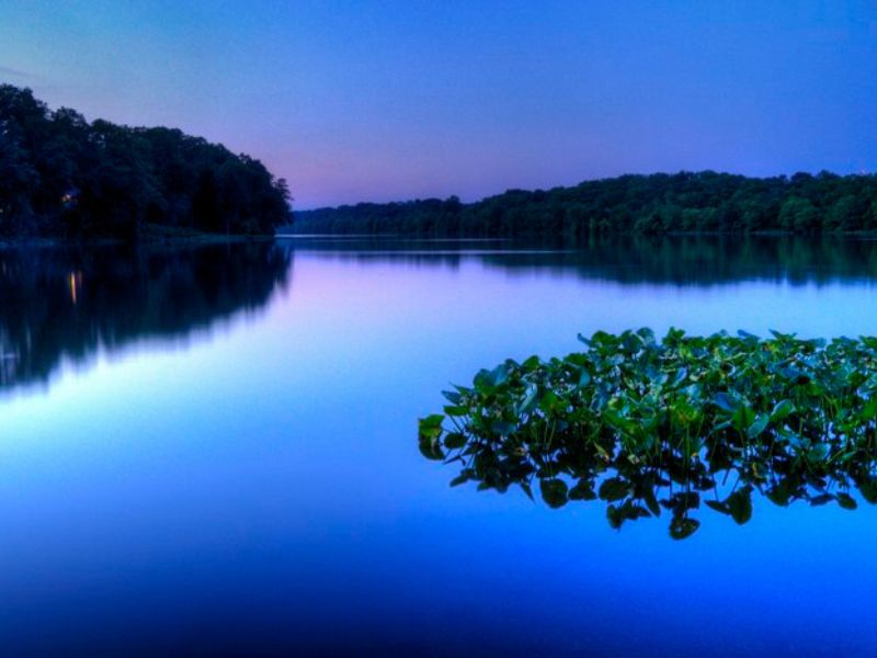 Catch some fish at Carnegie Lake