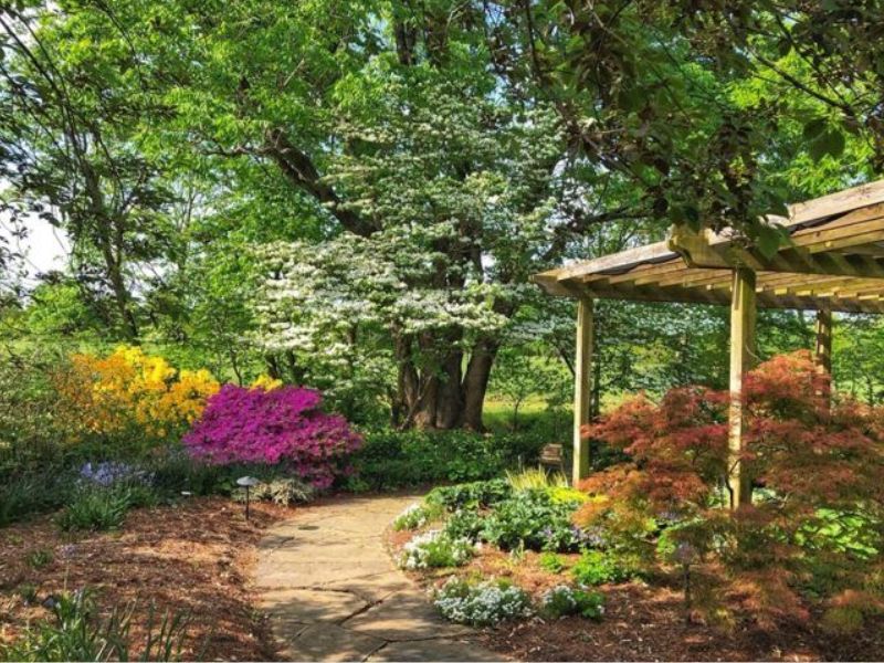 Botanical Garden of the Ozarks