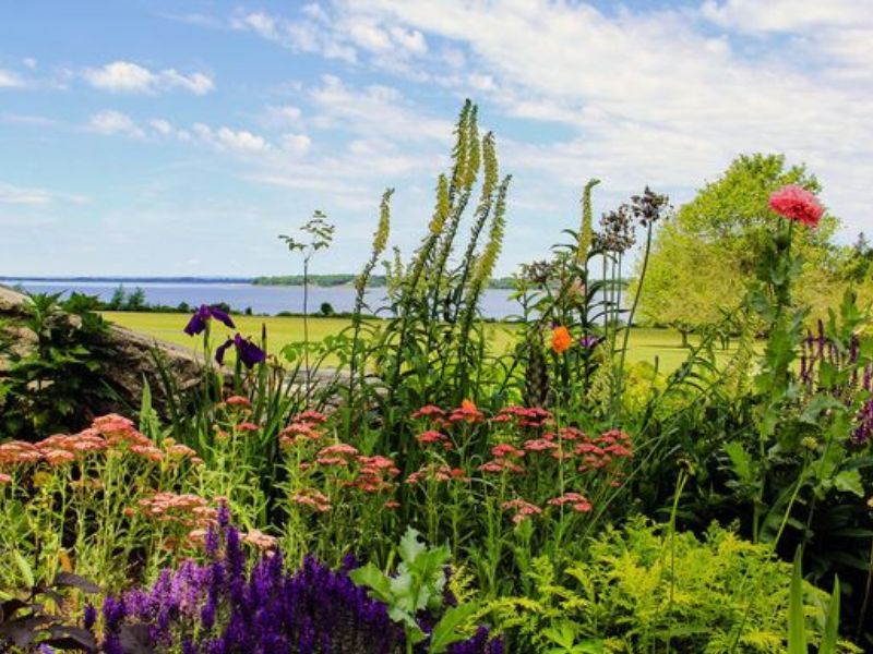 Northern Plains Botanic Garden Society