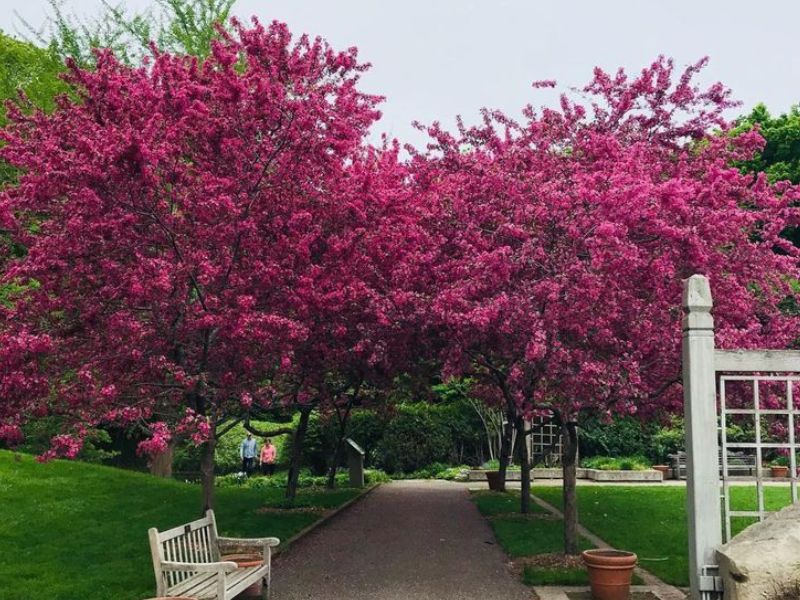 Redbud Festival Park