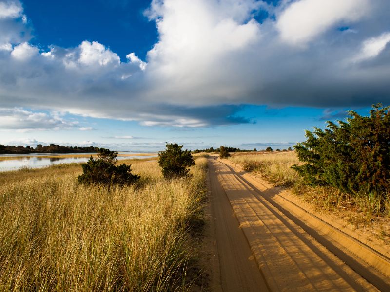 Cape Poge Wildlife Refuge