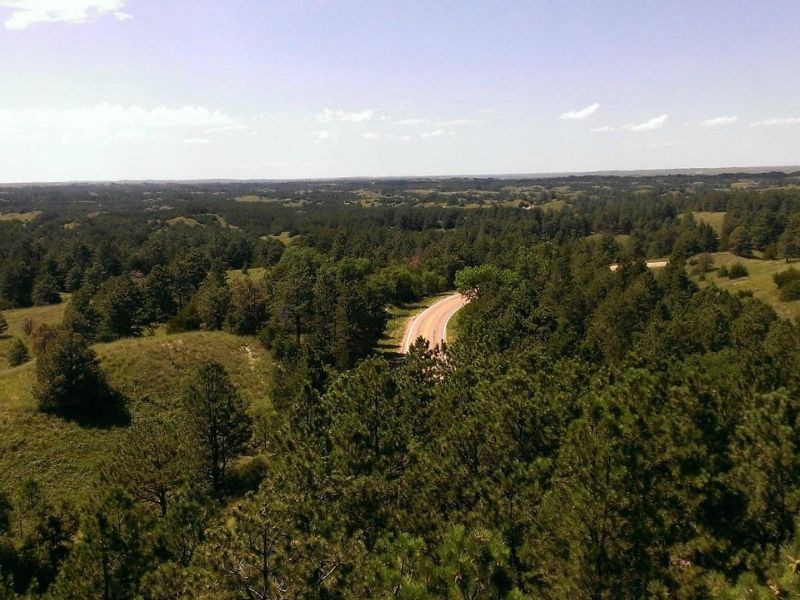 Nebraska National Forest