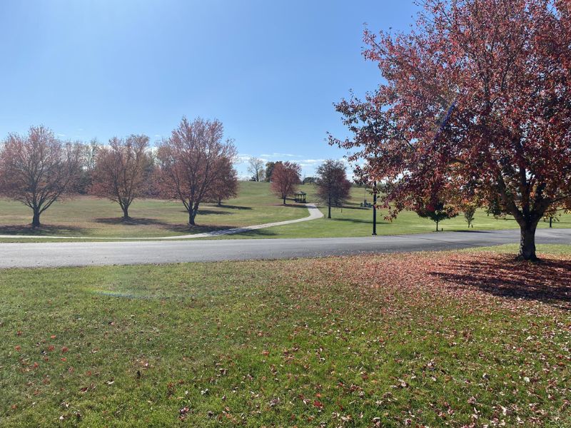 Stroll on the trails of Anderson Dean Community Park