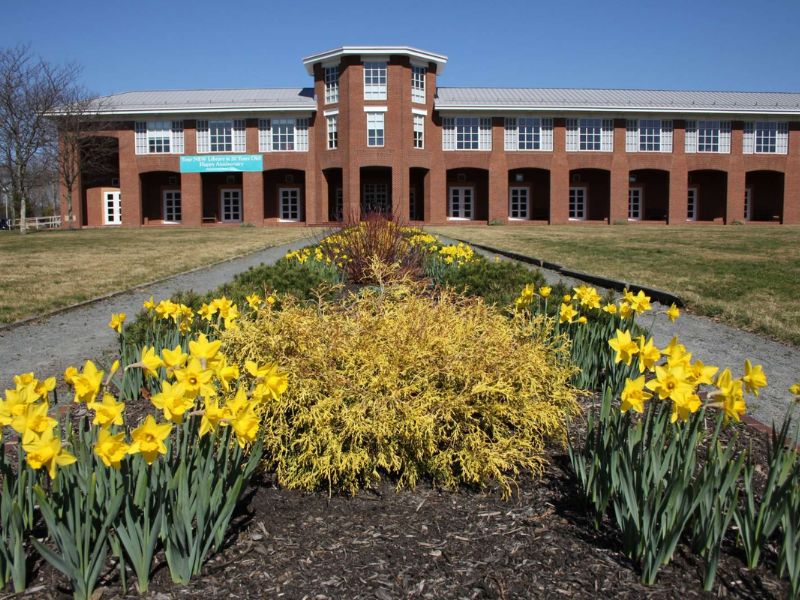 Attend a Workshop at the Plymouth Public Library