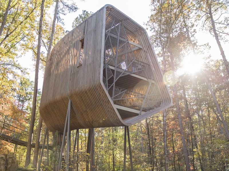 A Trip To Garvan Woodland Gardens