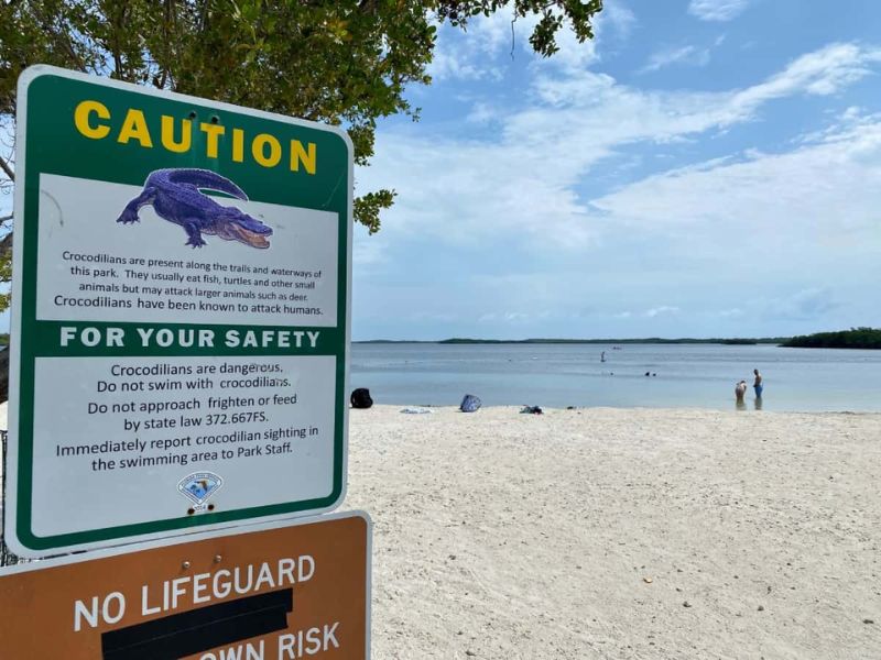 Dive at John Pennekamp Coral Reef State Park