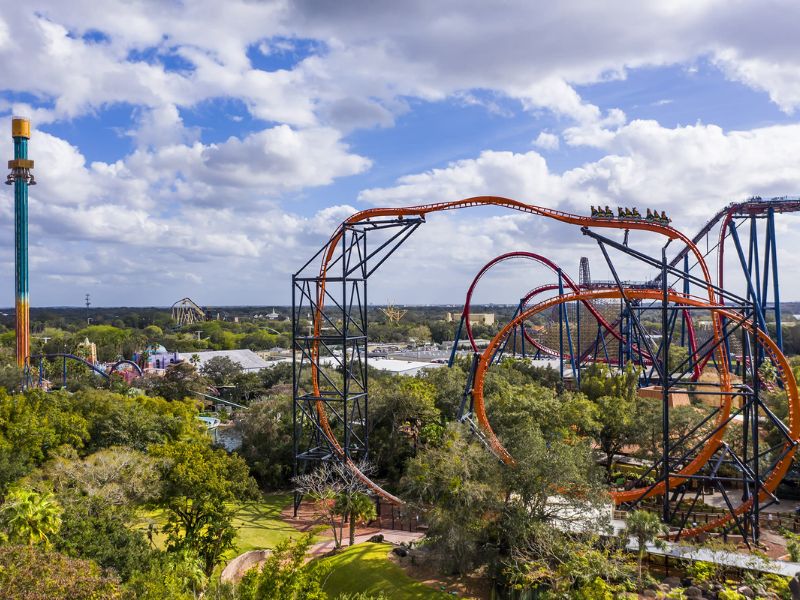 Enjoy Busch Gardens Tampa Bay