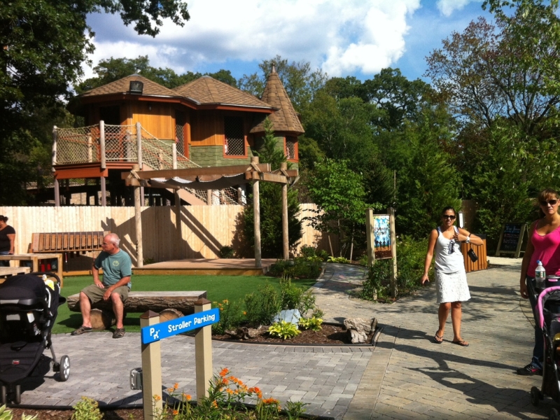 Paddleboard at Roger Williams Park